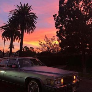 特级一级毛片高潮动态视频
